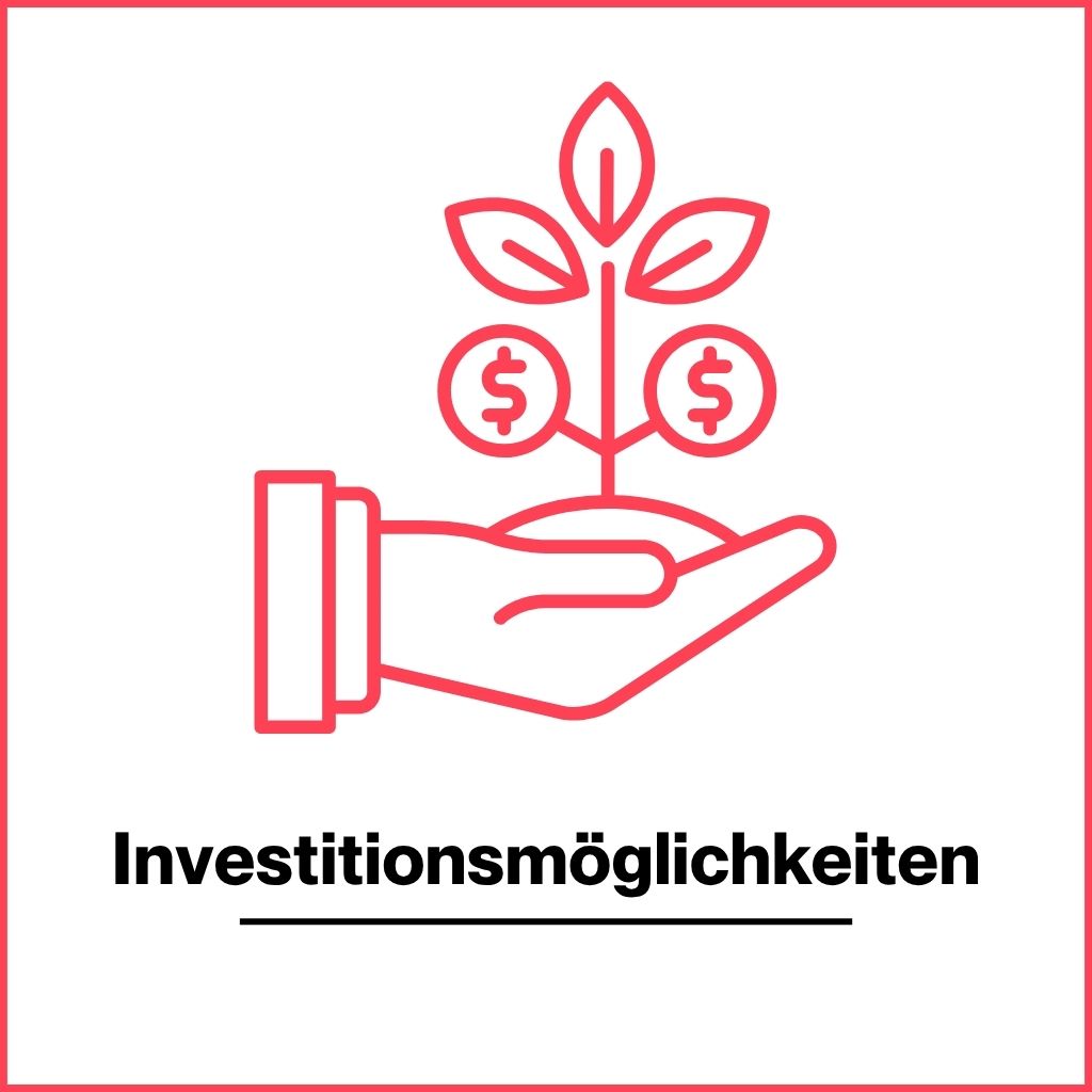 Miss Finance Wiki - Investitionsmöglichkeiten