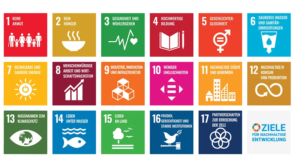 Miss Finance Wiki - Nachhaltige ETFs - SDGs