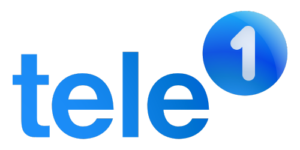 Miss Finance Wiki-logo-tele1